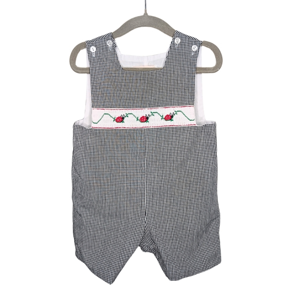 Anavini‎ Smocked Gingham Baby Romper Ladybug Embroidery 6M
